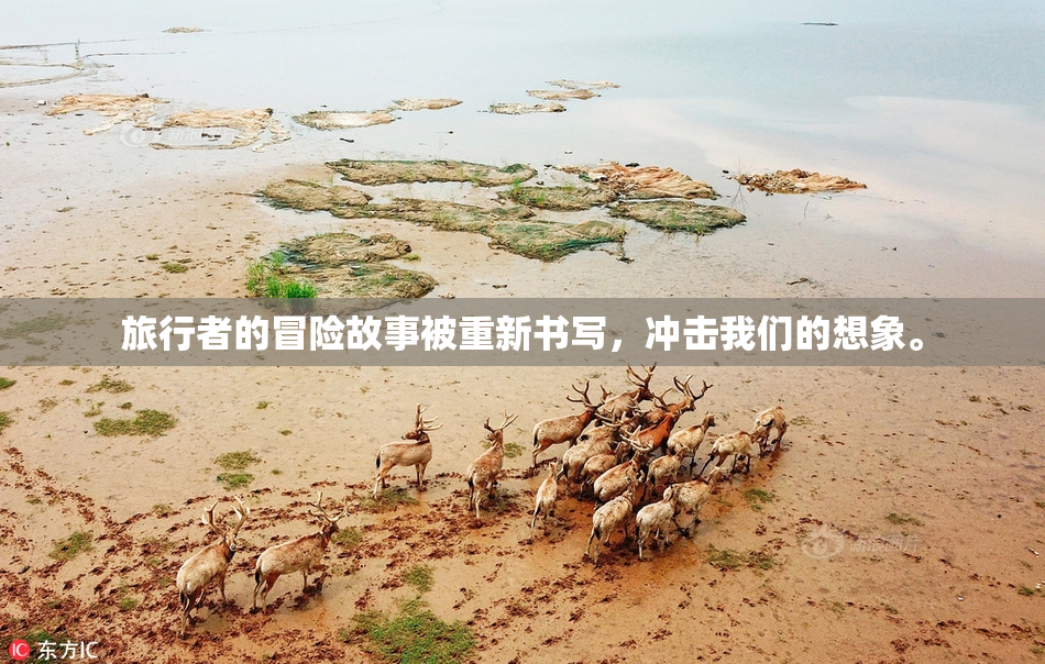 旅行者的冒险故事被重新书写，冲击我们的想象。