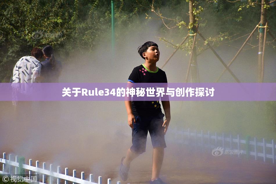 关于Rule34的神秘世界与创作探讨