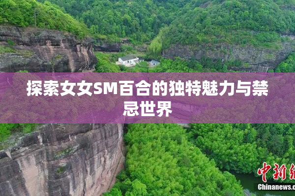 探索女女SM百合的独特魅力与禁忌世界