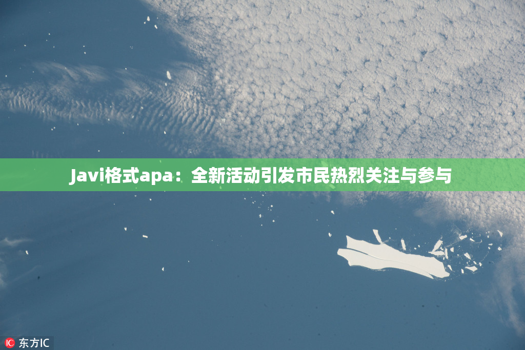 Javi格式apa：全新活动引发市民热烈关注与参与
