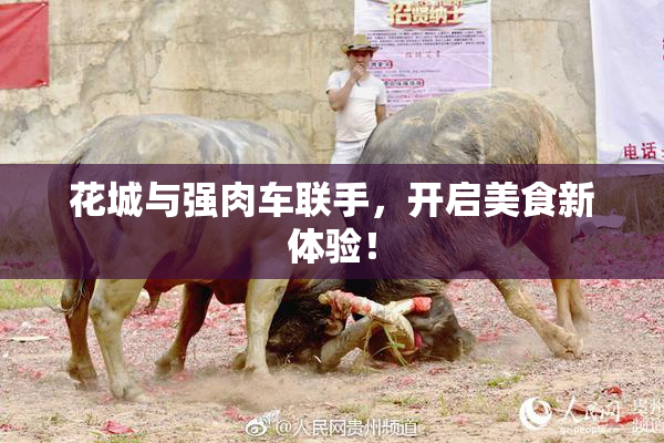 花城与强肉车联手，开启美食新体验！