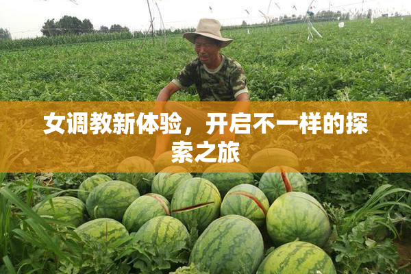 女调教新体验，开启不一样的探索之旅