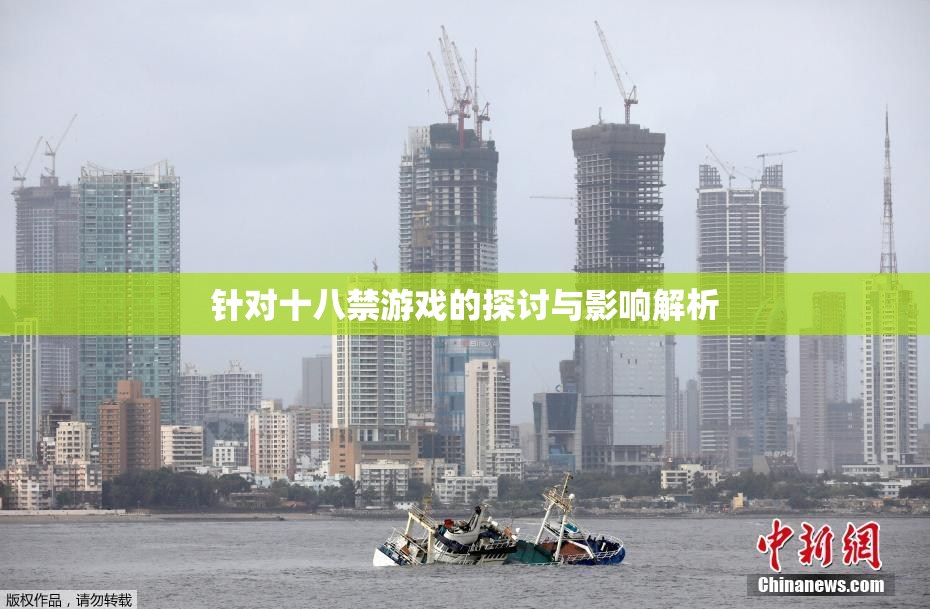 针对十八禁游戏的探讨与影响解析