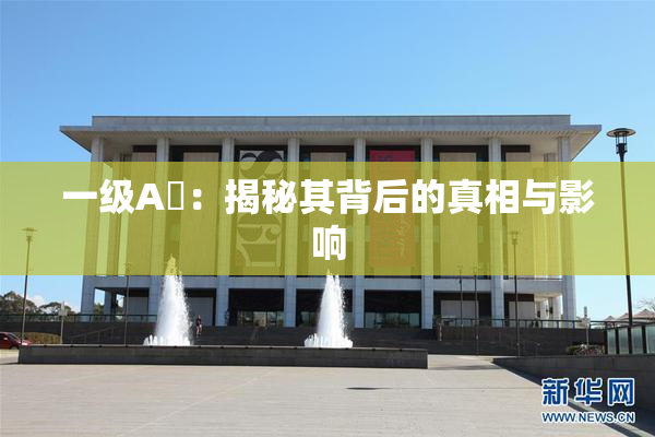 一级A婬：揭秘其背后的真相与影响