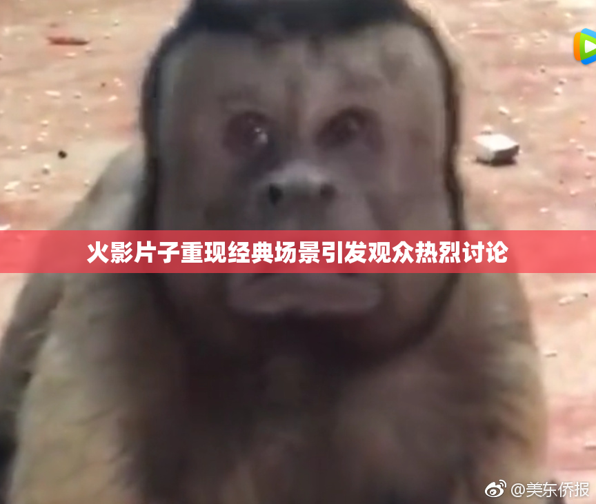 火影片子重现经典场景引发观众热烈讨论