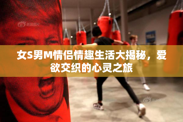 女S男M情侣情趣生活大揭秘，爱欲交织的心灵之旅