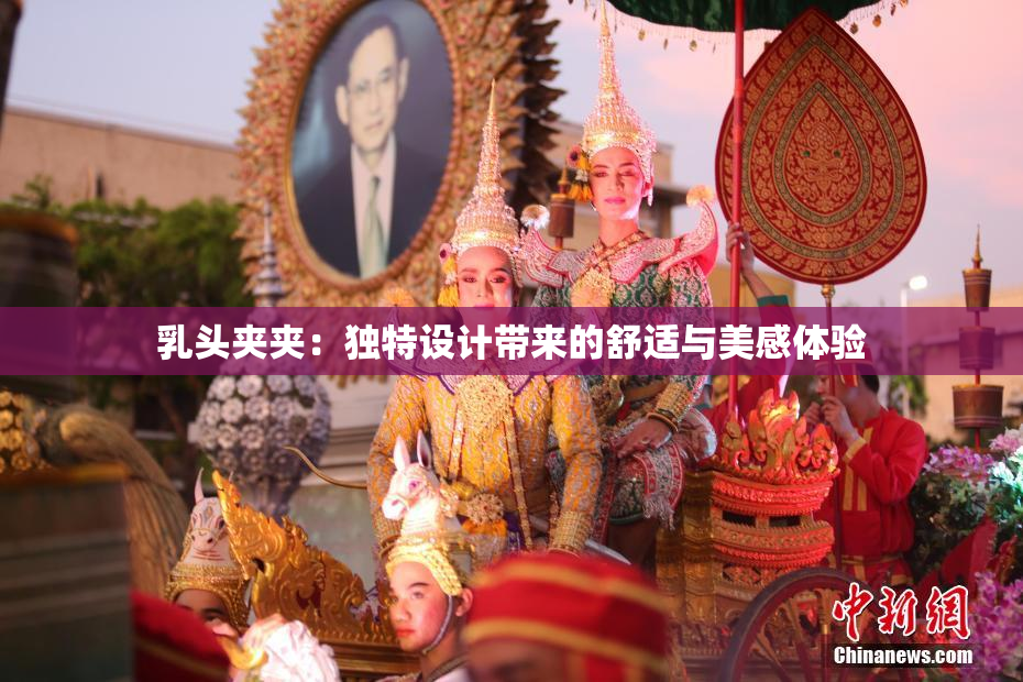 乳头夹夹：独特设计带来的舒适与美感体验