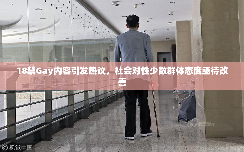 18禁Gay内容引发热议，社会对性少数群体态度亟待改善