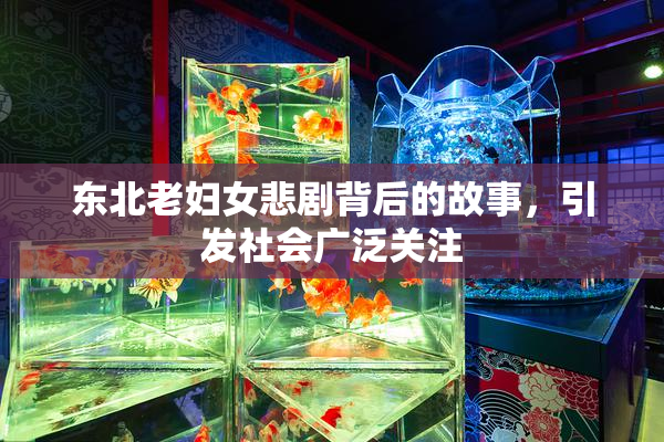 东北老妇女悲剧背后的故事，引发社会广泛关注