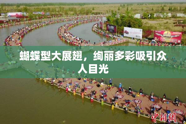 蝴蝶型大展翅，绚丽多彩吸引众人目光