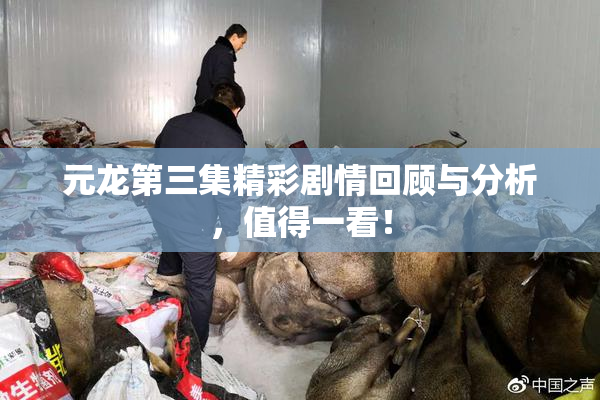 元龙第三集精彩剧情回顾与分析，值得一看！