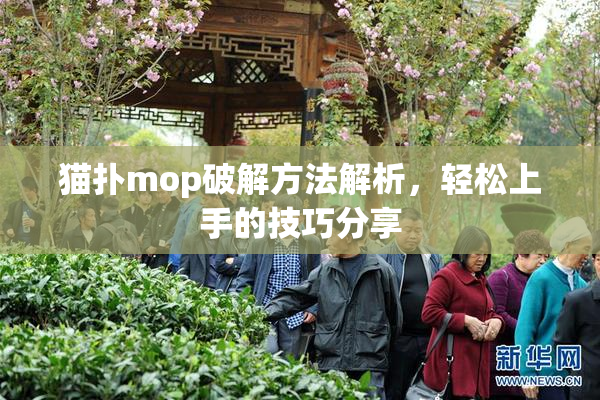 猫扑mop破解方法解析，轻松上手的技巧分享