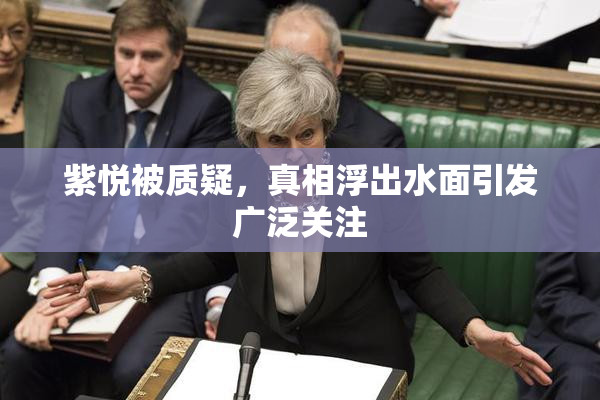 紫悦被质疑，真相浮出水面引发广泛关注