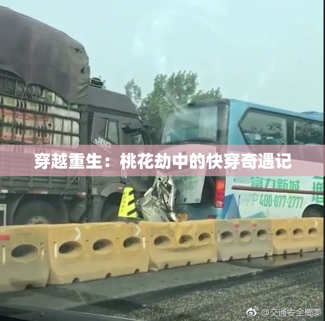 穿越重生：桃花劫中的快穿奇遇记