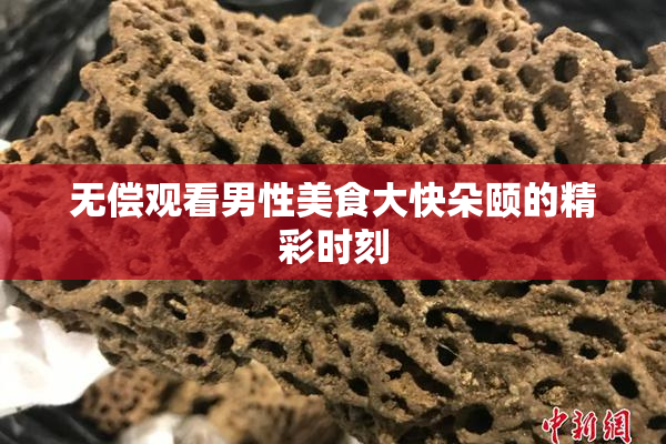 无偿观看男性美食大快朵颐的精彩时刻