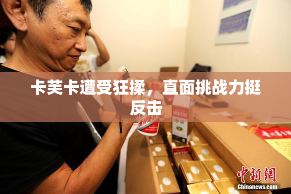 卡芙卡遭受狂揉，直面挑战力挺反击
