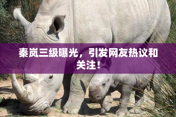 秦岚三级曝光，引发网友热议和关注！