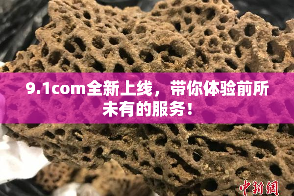 9.1com全新上线，带你体验前所未有的服务！