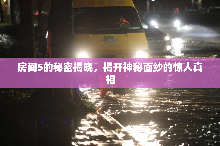 房间5的秘密揭晓，揭开神秘面纱的惊人真相