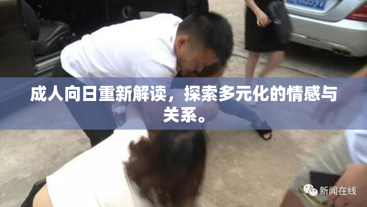 成人向日重新解读，探索多元化的情感与关系。