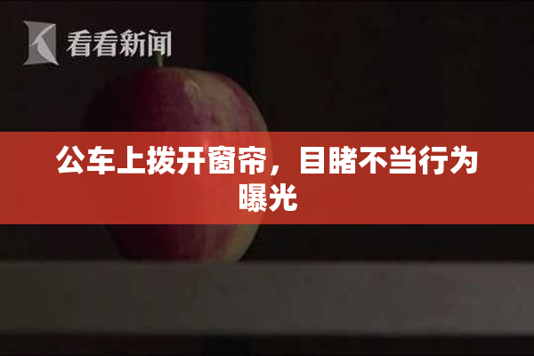 公车上拨开窗帘，目睹不当行为曝光