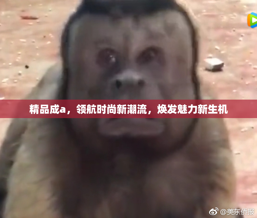 精品成a，领航时尚新潮流，焕发魅力新生机
