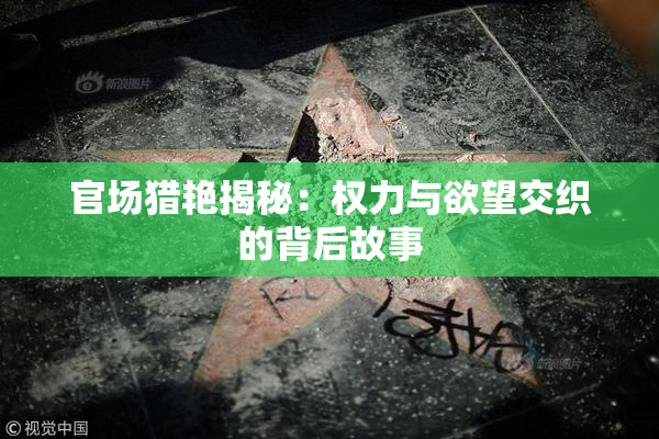 官场猎艳揭秘：权力与欲望交织的背后故事