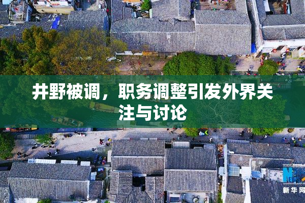 井野被调，职务调整引发外界关注与讨论