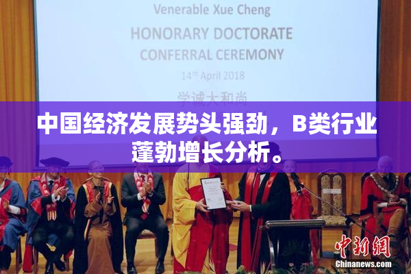中国经济发展势头强劲，B类行业蓬勃增长分析。