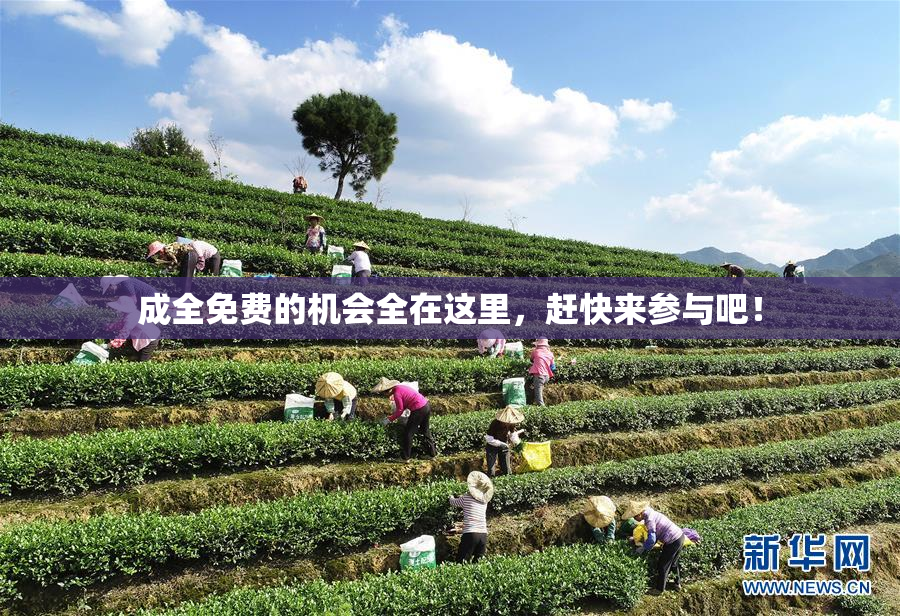 成全免费的机会全在这里，赶快来参与吧！