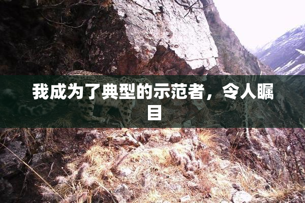 我成为了典型的示范者，令人瞩目