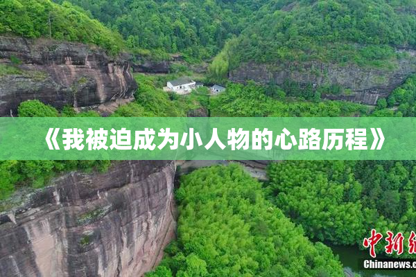 《我被迫成为小人物的心路历程》
