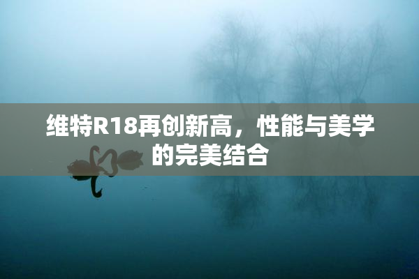维特R18再创新高，性能与美学的完美结合
