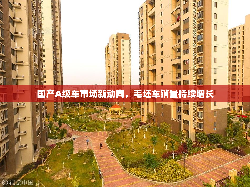 国产A级车市场新动向，毛坯车销量持续增长