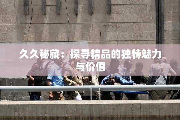 久久秘藏：探寻精品的独特魅力与价值