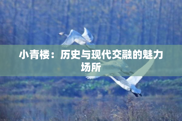 小青楼：历史与现代交融的魅力场所