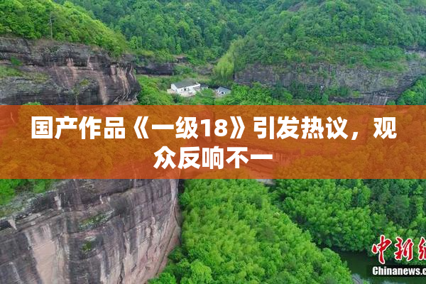 国产作品《一级18》引发热议，观众反响不一