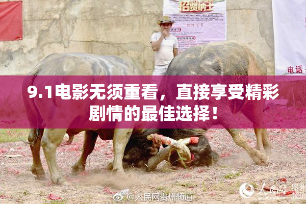 9.1电影无须重看，直接享受精彩剧情的最佳选择！
