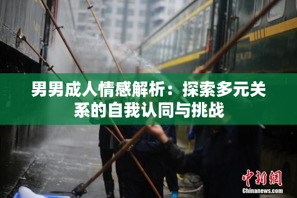 男男成人情感解析：探索多元关系的自我认同与挑战