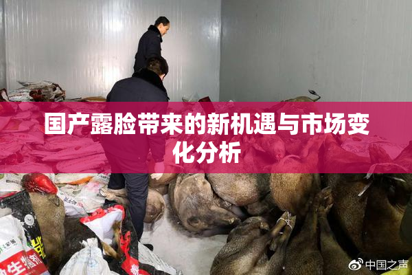 国产露脸带来的新机遇与市场变化分析