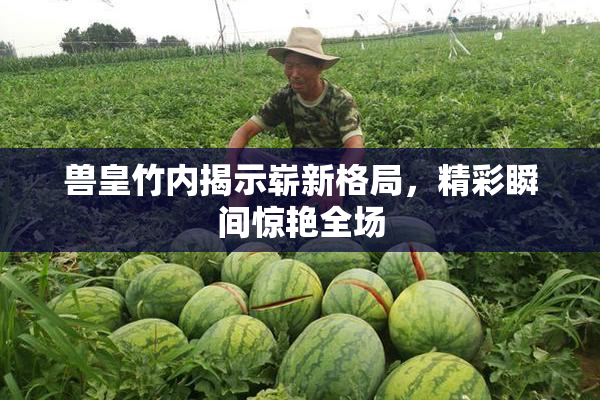 兽皇竹内揭示崭新格局，精彩瞬间惊艳全场