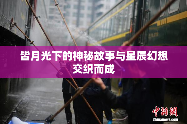 皆月光下的神秘故事与星辰幻想交织而成