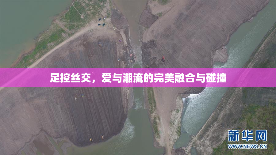 足控丝交，爱与潮流的完美融合与碰撞