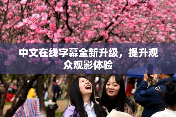 中文在线字幕全新升级，提升观众观影体验