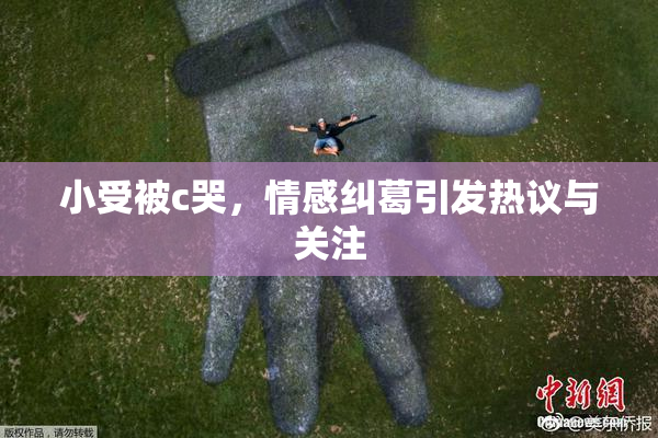 小受被c哭，情感纠葛引发热议与关注