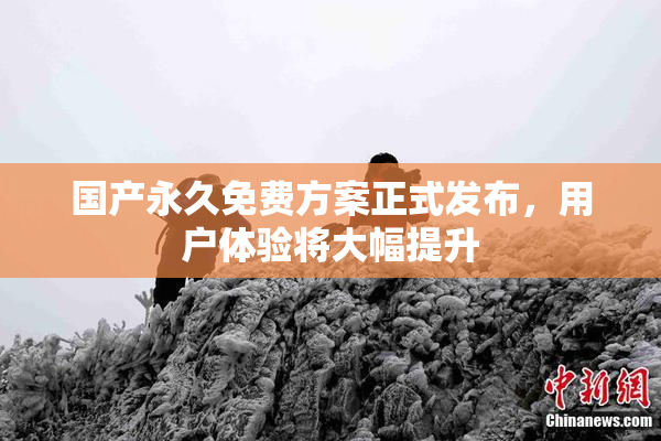 国产永久免费方案正式发布，用户体验将大幅提升