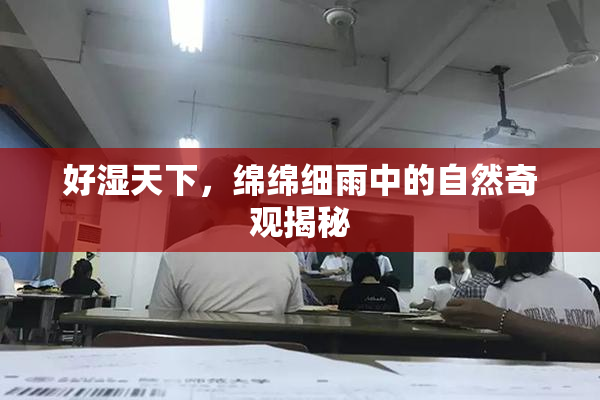 好湿天下，绵绵细雨中的自然奇观揭秘