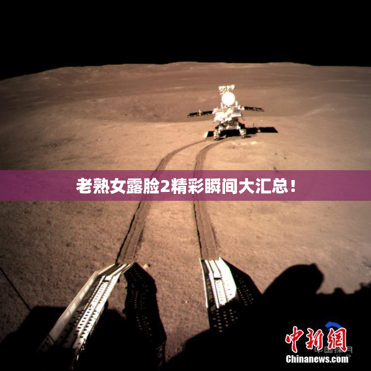 老熟女露脸2精彩瞬间大汇总！