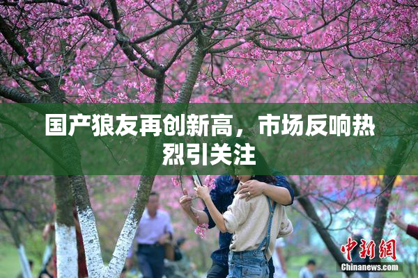 国产狼友再创新高，市场反响热烈引关注