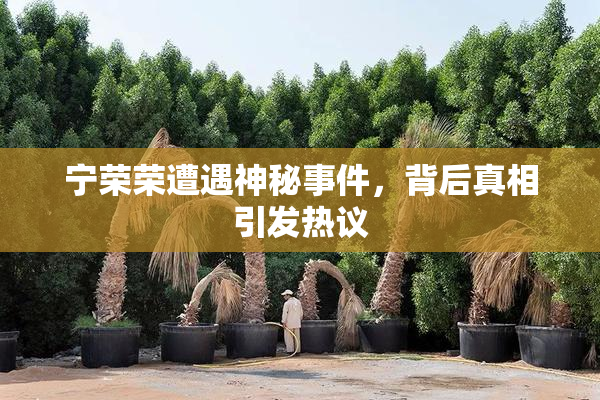 宁荣荣遭遇神秘事件，背后真相引发热议